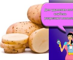 10 лучших средств, как быстро отстирать соевый соус с одежды разного цвета